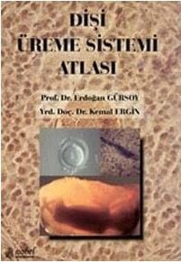 Dişi Üreme Sistemi Atlası