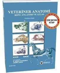 Veteriner Anatomi Konu Anlatımı ve Atlas