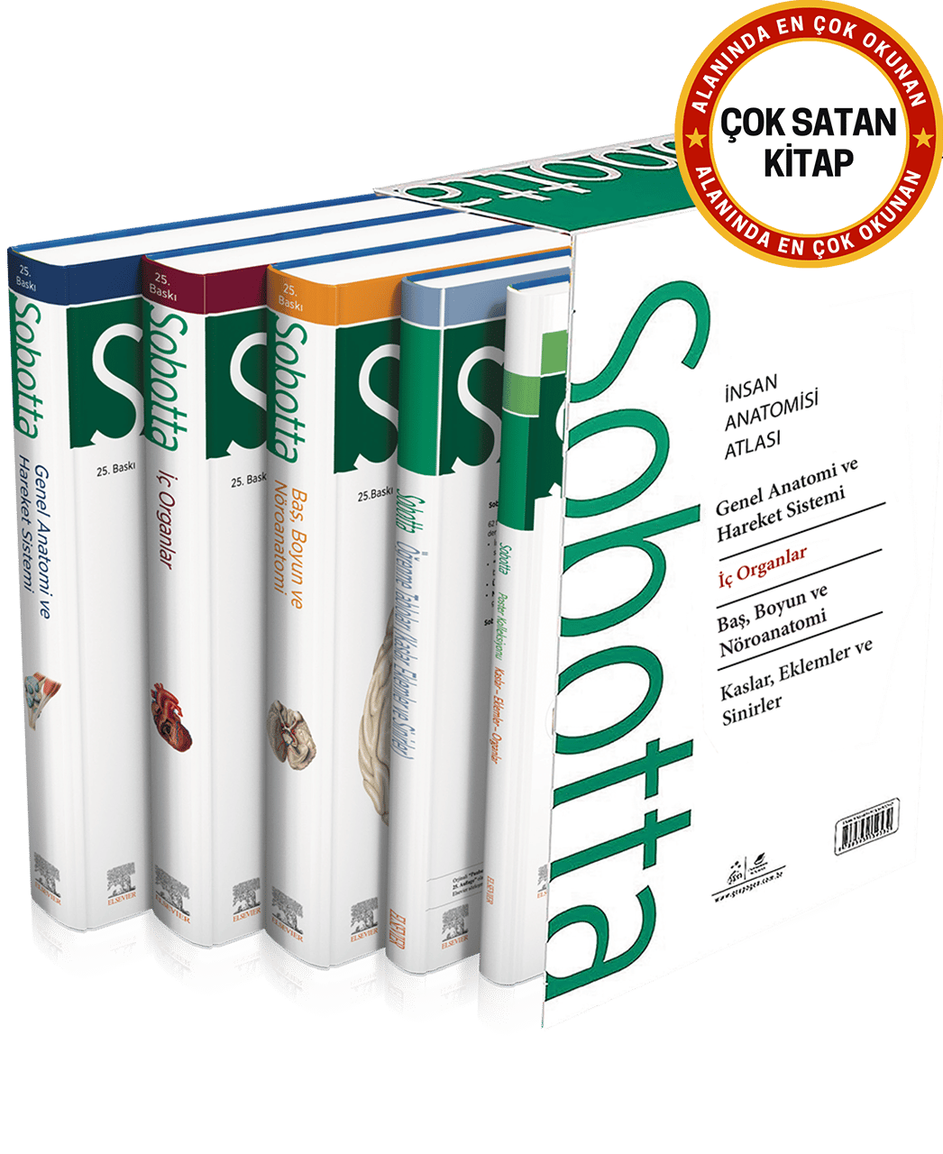 Sobotta İnsan Anatomisi Atlası Seti 4 Cilt ( 25. En Son Baskı - Türkçe 13. En Son Baskı)